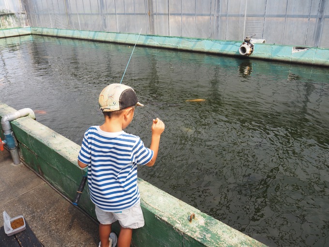 fish_10.jpeg