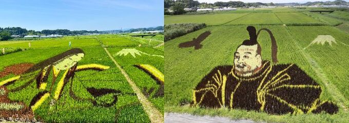 田んぼアート.jpg